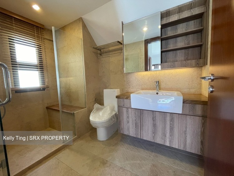 Holland Link (D10), Terrace #500358031